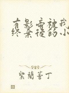 有影帝被我始乱终弃后的小说名字