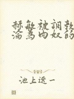 赫敏被调教喷水沦为肉奴的小说