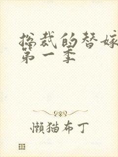 总裁的替嫁新娘第一季封面