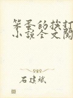 笨蛋的挨打日常小说全文阅读免费