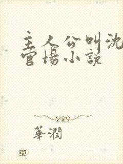 主人公叫沈荡的官场小说