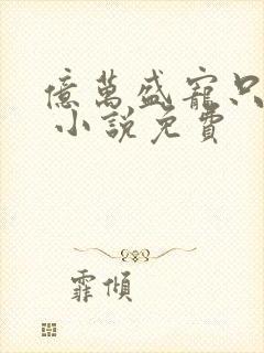 亿万盛宠只为你 小说免费