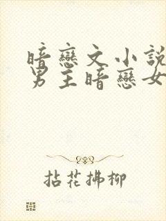 暗恋文小说推荐男主暗恋女主