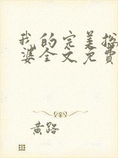 我的完美总裁老婆全文免费阅读封面