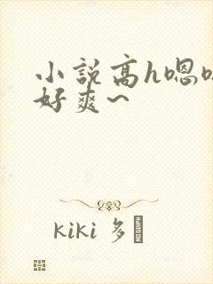 小说高h嗯嗯~好爽~