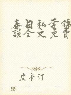 春日私奔锦应小说全文免费阅读最新章节列表