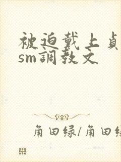 被迫戴上贞洁锁sm调教文封面