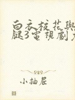 白衣校花与大长腿3电视剧免费观看