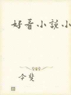 好看小说小说封面