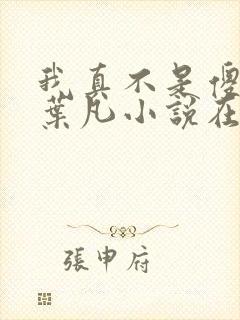 我真不是傻子了叶凡小说在线阅读