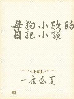 母狗小欣的调教日记小说