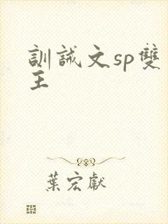 训诫文sp双男主