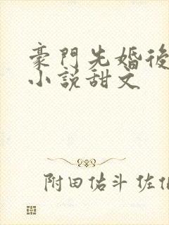 豪门先婚后爱的小说甜文