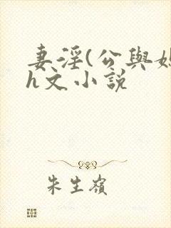 妻淫(公与媳7h文小说封面