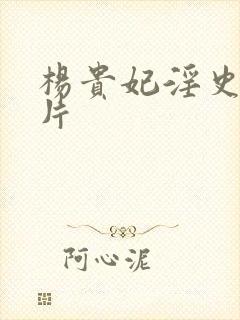 杨贵妃淫史一级片