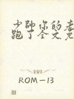 少帅你的老婆又跑了全文免费阅读