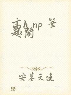 高h np 笔趣阁