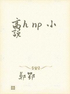 高h np 小说