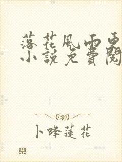 落花风雨更伤春小说免费阅读