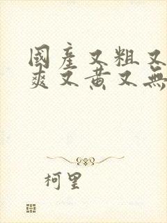 国产又粗又猛又爽又黄又无遮挡