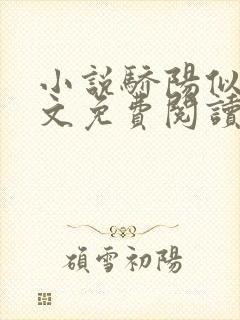 小说骄阳似我全文免费阅读封面