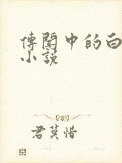 传闻中的白月光小说