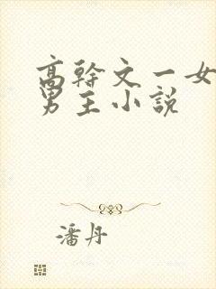 高干文一女多个男主小说