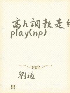 高h调教走绳 play(np)