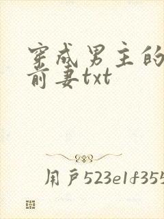 穿成男主的炮灰前妻txt