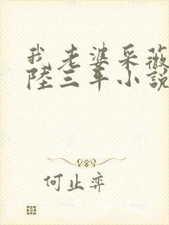 我老婆采薇养父陆三平小说txt