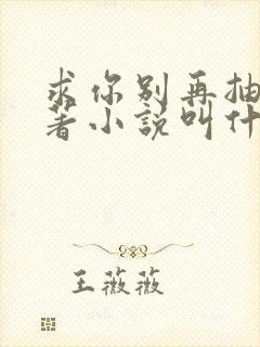 求你别再抽了原著小说叫什么