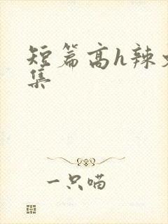 短篇高h辣文合集封面