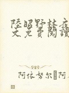 陆昭野林夜棠全文免费阅读最新章节