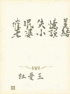 催眠失忆美母变老婆小说结局封面