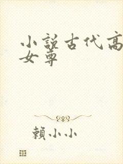 小说古代高h 女尊