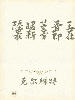 陆昭菱晋王小说最新章节在线阅读封面