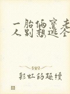 一胎俩宝老婆大人别想逃全文免费阅读