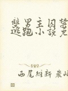 双男主囚禁惩罚逃跑小说免费全文封面