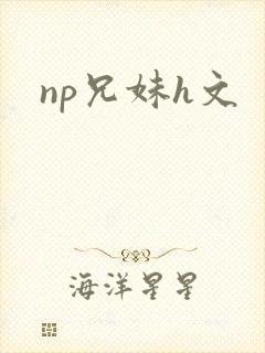 np兄妹h文