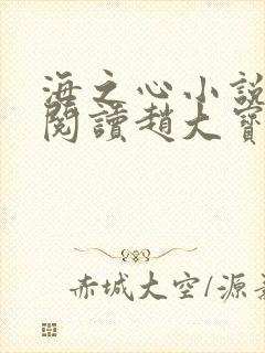 海之心小说免费阅读赵大宝