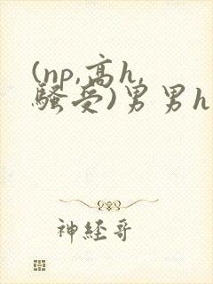 (np,高h,骚受)男男h封面