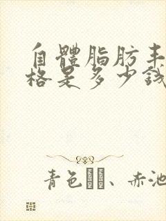 自体脂肪丰胸价格是多少钱封面