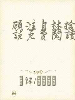 顾淮月林拾安小说免费阅读最新章节封面