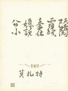 公媳秦霜陆贞康小说在线阅读