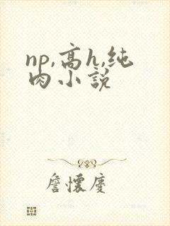 np,高h,纯肉小说