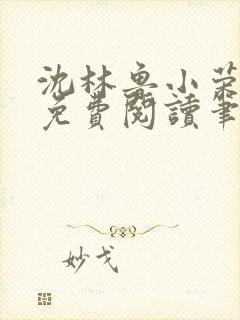 沈林鲁小荣小说免费阅读笔趣阁封面