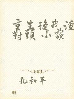 重生后我渣了死对头 小说