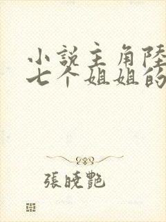 小说主角陆云有七个姐姐的小说