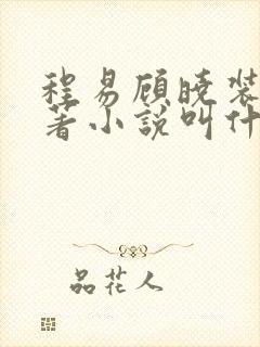 程易顾晓装穷原著小说叫什么