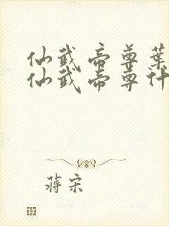 仙武帝尊叶辰和仙武帝尊什么关系